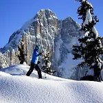 Centro Thule - Genziana * Selva di Cadore
