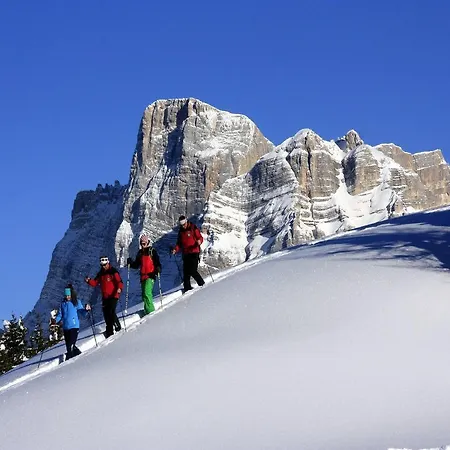 Apartman Centro Thule - Genziana Selva di Cadore