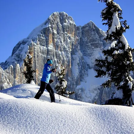 Centro Thule - Genziana * Selva di Cadore